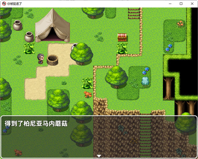 图片[2]-你被驱逐了 官方中文作弊版 PC+安卓 RPG游戏 1.2G-樱花社